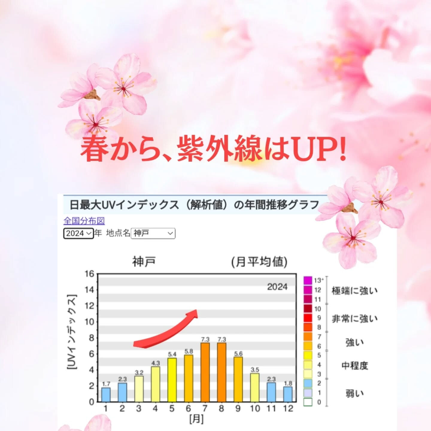 🌸 春の美肌対策　