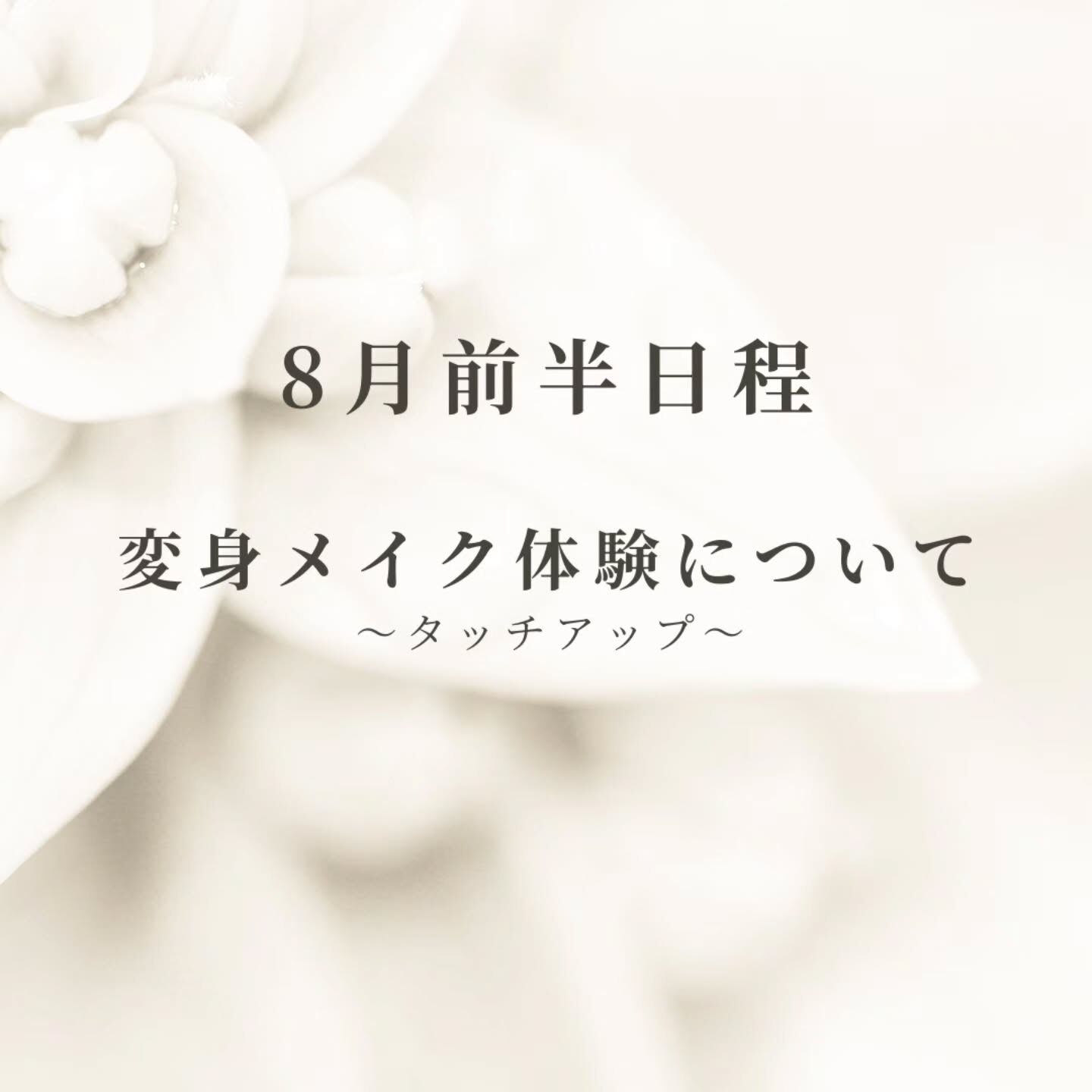 8月前半🍃
